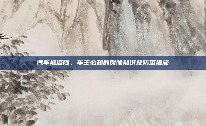 汽车被盗险,车主必知的保险知识及防范措施