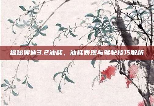 揭秘奥迪3.2油耗,油耗表现与驾驶技巧解析