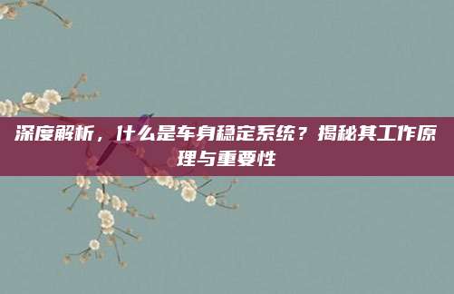 深度解析,什么是车身稳定系统?揭秘其工作原理与重要性