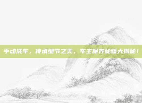 手动洗车,传承细节之美,车主保养秘籍大揭秘!