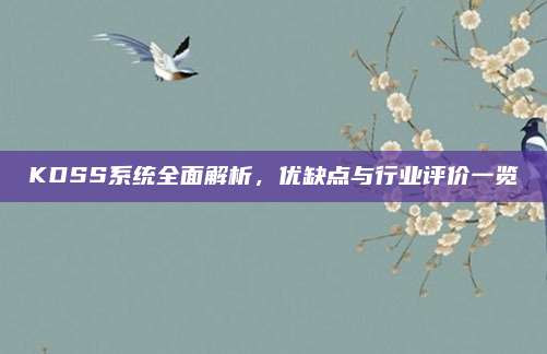 KDSS系统全面解析,优缺点与行业评价一览