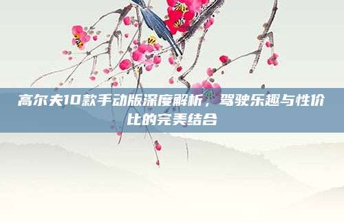 高尔夫10款手动版深度解析,驾驶乐趣与性价比的完美结合
