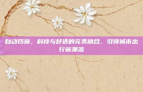 自动挡骊,科技与舒适的完美融合,引领城市出行新潮流