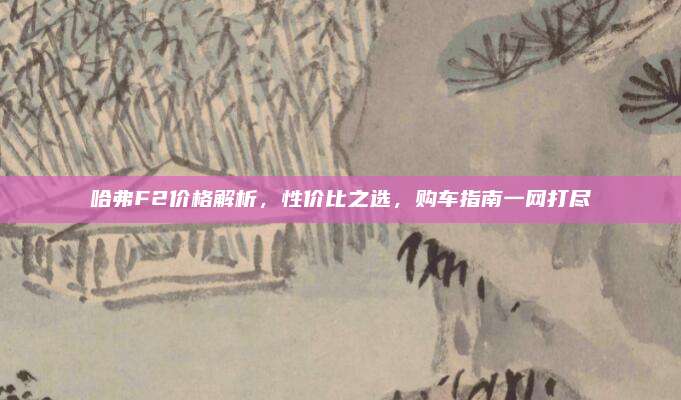 哈弗F2价格解析，性价比之选，购车指南一网打尽
