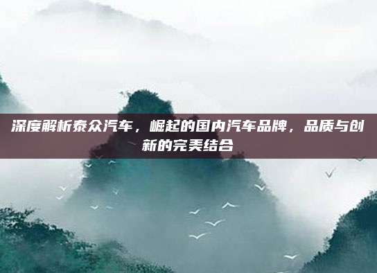 深度解析泰众汽车，崛起的国内汽车品牌，品质与创新的完美结合