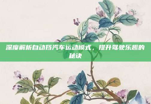深度解析自动挡汽车运动模式,提升驾驶乐趣的秘诀