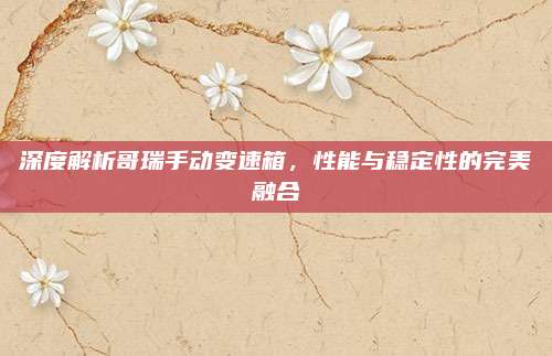 深度解析哥瑞手动变速箱，性能与稳定性的完美融合