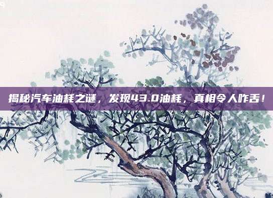 揭秘汽车油耗之谜,发现43.0油耗,真相令人咋舌!