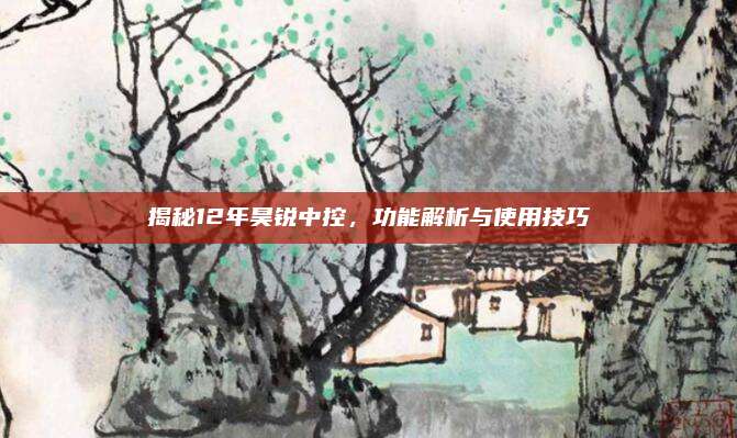 揭秘12年昊锐中控,功能解析与使用技巧