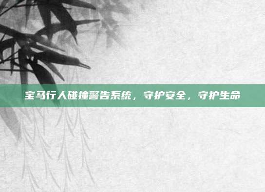 宝马行人碰撞警告系统,守护安全,守护生命