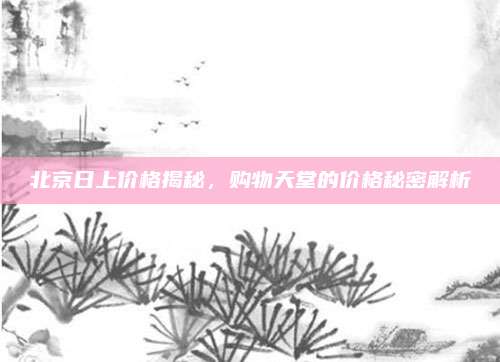 北京日上价格揭秘，购物天堂的价格秘密解析