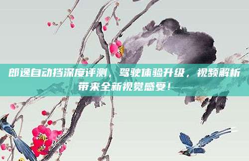 郎逸自动挡深度评测,驾驶体验升级,视频解析带来全新视觉感受!