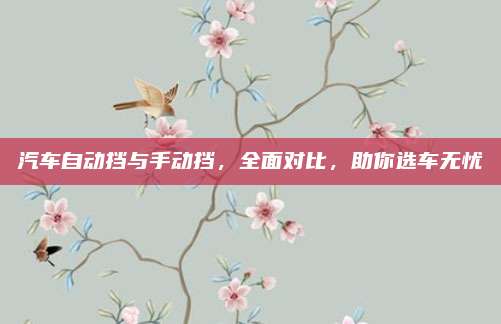 汽车自动挡与手动挡，全面对比，助你选车无忧