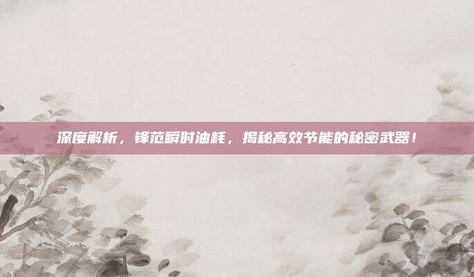 深度解析,锋范瞬时油耗,揭秘高效节能的秘密武器!