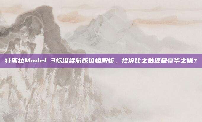 特斯拉Model 3标准续航版价格解析，性价比之选还是豪华之嫌？