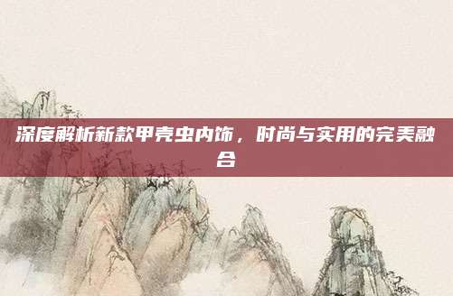 深度解析新款甲壳虫内饰,时尚与实用的完美融合