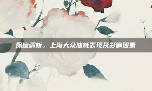 深度解析,上海大众油耗表现及影响因素