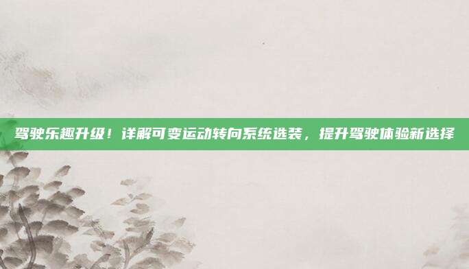 驾驶乐趣升级！详解可变运动转向系统选装，提升驾驶体验新选择