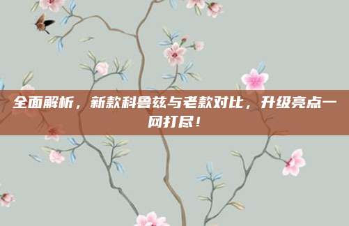 全面解析，新款科鲁兹与老款对比，升级亮点一网打尽！