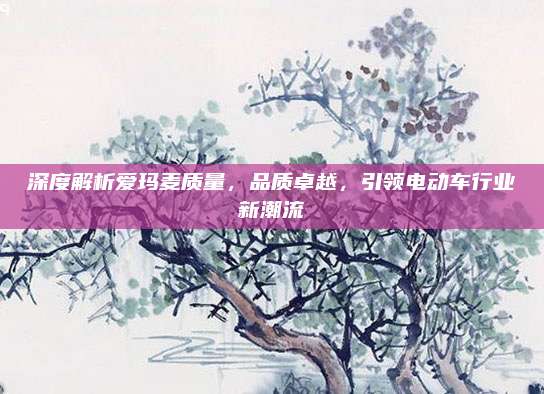 深度解析爱玛麦质量，品质卓越，引领电动车行业新潮流