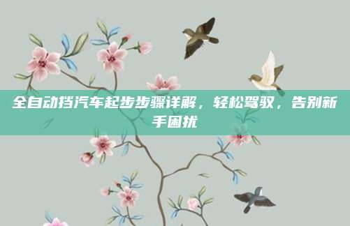 全自动挡汽车起步步骤详解，轻松驾驭，告别新手困扰