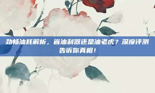 劲畅油耗解析，省油利器还是油老虎？深度评测告诉你真相！