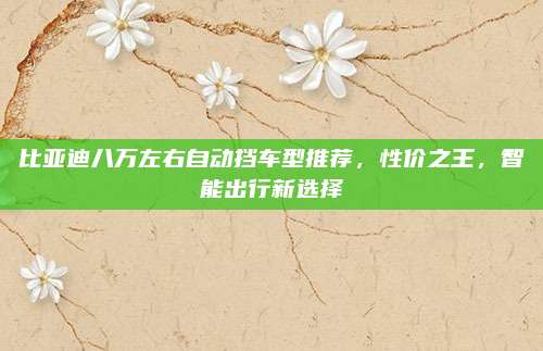 比亚迪八万左右自动挡车型推荐,性价之王,智能出行新选择