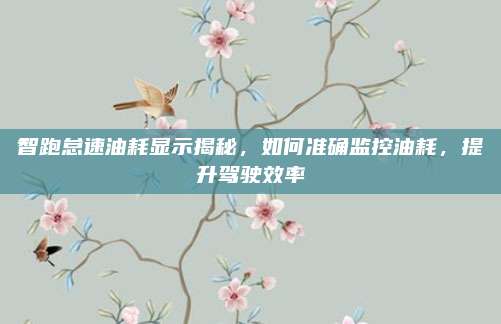 智跑怠速油耗显示揭秘,如何准确监控油耗,提升驾驶效率
