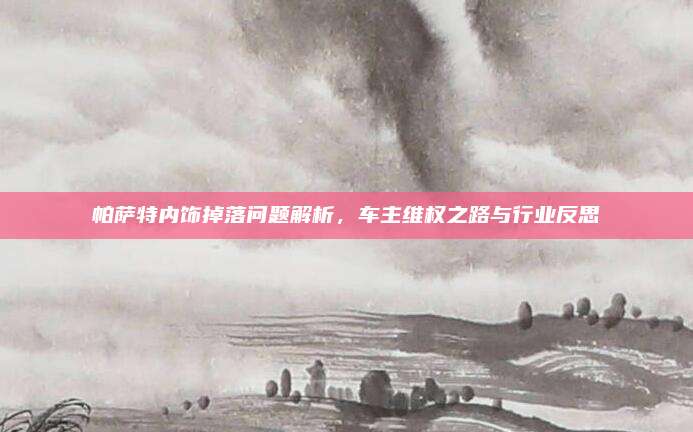 帕萨特内饰掉落问题解析，车主维权之路与行业反思