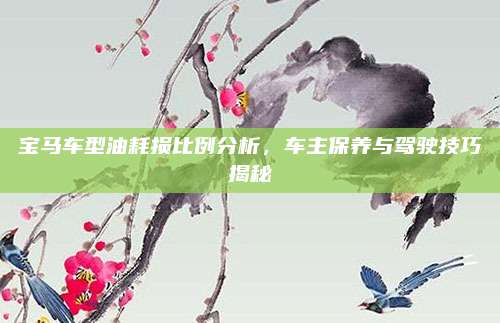 宝马车型油耗损比例分析，车主保养与驾驶技巧揭秘