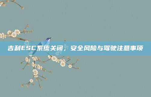 吉利ESC系统关闭,安全风险与驾驶注意事项