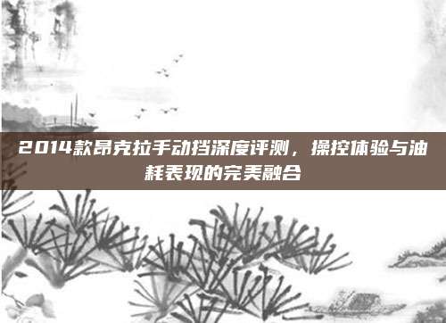 2014款昂克拉手动挡深度评测,操控体验与油耗表现的完美融合