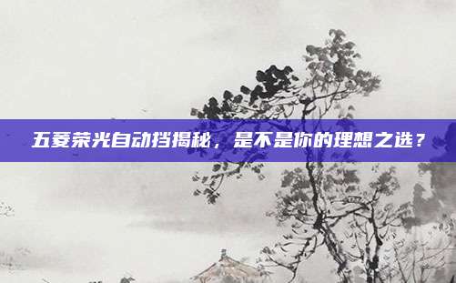 五菱荣光自动挡揭秘,是不是你的理想之选?