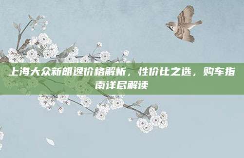上海大众新朗逸价格解析,性价比之选,购车指南详尽解读