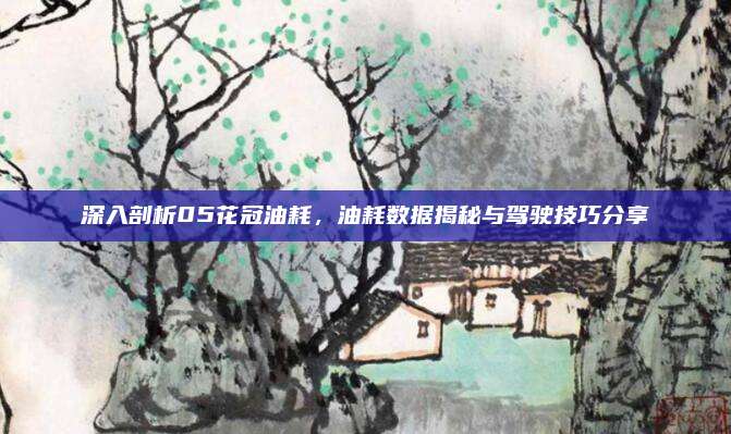 深入剖析05花冠油耗,油耗数据揭秘与驾驶技巧分享