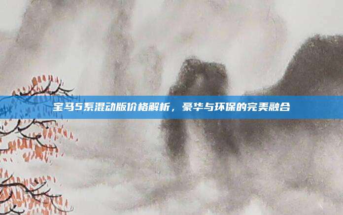 宝马5系混动版价格解析,豪华与环保的完美融合