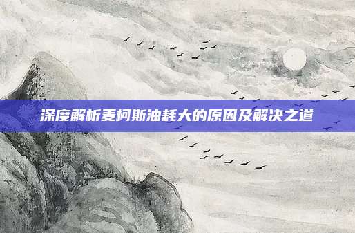 深度解析麦柯斯油耗大的原因及解决之道