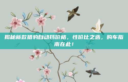 揭秘新款猎豹自动挡价格,性价比之选,购车指南在此!