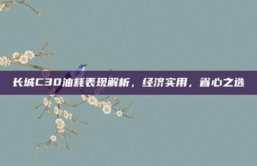 长城C30油耗表现解析，经济实用，省心之选