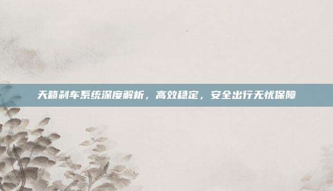天籁刹车系统深度解析,高效稳定,安全出行无忧保障