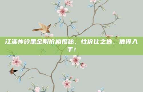 江淮帅铃黑金刚价格揭秘，性价比之选，值得入手！
