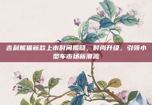 吉利熊猫新款上市时间揭晓,时尚升级,引领小型车市场新潮流