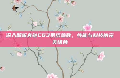 深入解析奔驰C63系统参数,性能与科技的完美结合