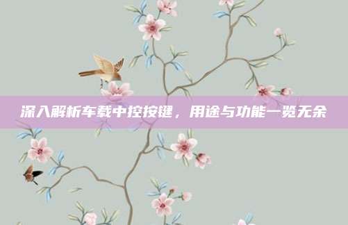 深入解析车载中控按键,用途与功能一览无余