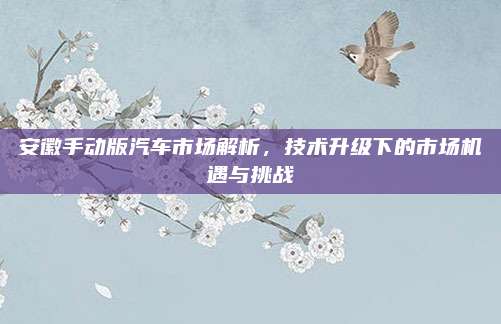 安徽手动版汽车市场解析,技术升级下的市场机遇与挑战