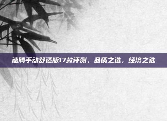 速腾手动舒适版17款评测，品质之选，经济之选