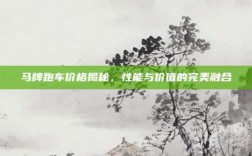 马牌跑车价格揭秘，性能与价值的完美融合