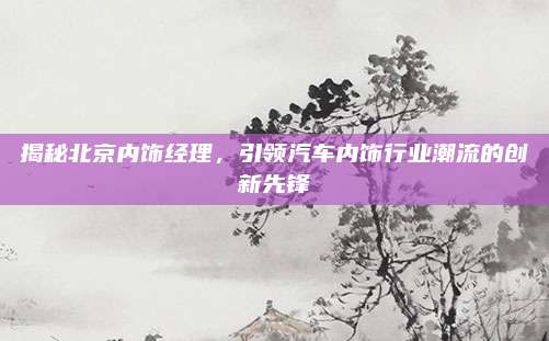 揭秘北京内饰经理,引领汽车内饰行业潮流的创新先锋