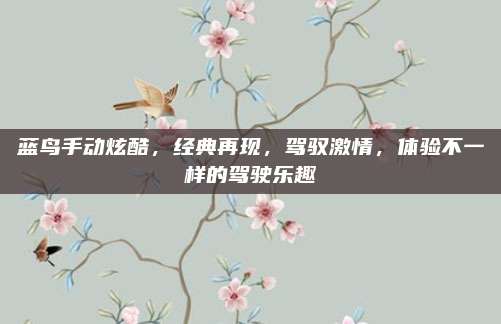 蓝鸟手动炫酷，经典再现，驾驭激情，体验不一样的驾驶乐趣