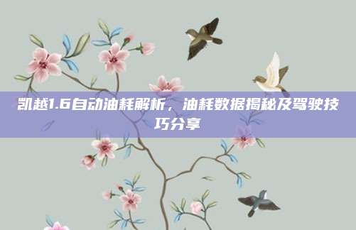 凯越1.6自动油耗解析，油耗数据揭秘及驾驶技巧分享